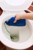 rengøring af sanitet-1